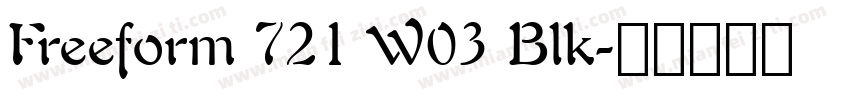 Freeform 721 W03 Blk字体转换